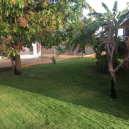 Quinta Villa 威廉斯塔德 外观 照片